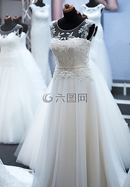婚紗禮服的沙龍,新娘,婚禮