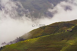 農業,云,退耕還林