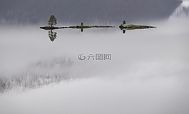 草,岛,湖