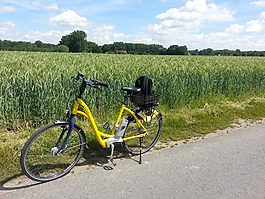 自行車,ebike,更多