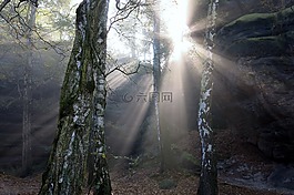 霧燈的,陽光,秋季