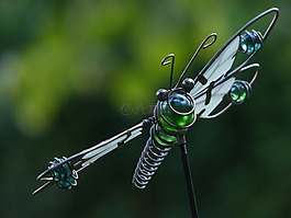 蜻蜓,線,玻璃