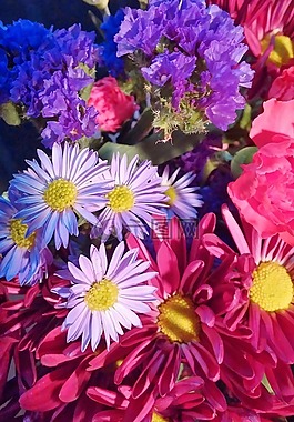 鮮花,花的,春天的花朵