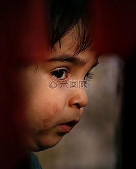 兒童,看看,男孩