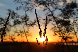 太陽(yáng),日落,黃昏