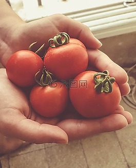 花園,手,紅色