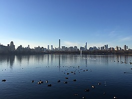 紐約,全景圖,城市