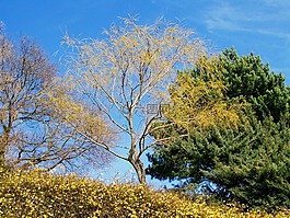春天的风景,大自然的觉醒,赛季