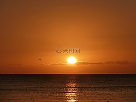 太陽,日落,橙色