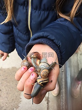 彈頭,蝸牛,兒童