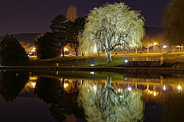 光,夜,湖