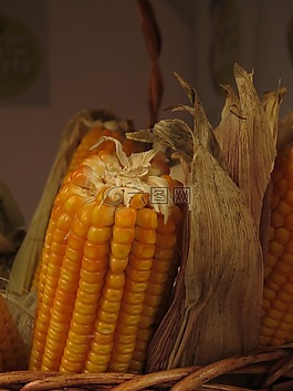 玉米,食品,糧食