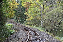 鐵路軌道,大自然,濟州島