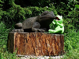 柯,青蛙,談話(huà)