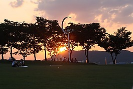日落,發(fā)光,公園