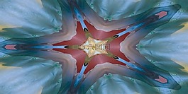 對稱性,明星,顏色