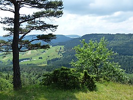 觀點,遠(yuǎn)景,羊山