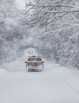 雪,白,车