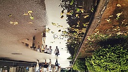 落葉,雨,倒影