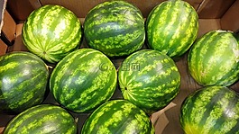 西瓜,水果,健康