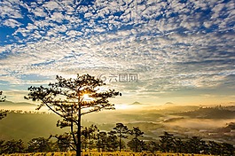 太陽,露、早,黎明