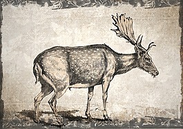 鹿,野生動物,動物