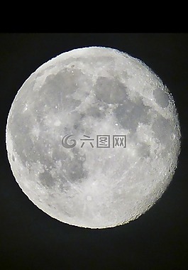 滿月,月亮,夜