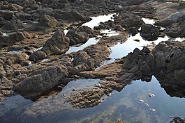 球衣,石,池