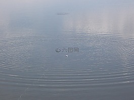 釣魚(yú),水,河