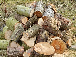 木,holzstapel,像