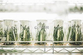 模糊,特寫,冷