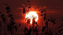 日出,日落,太陽(yáng)