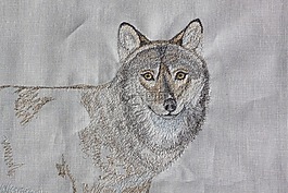 刺繡,狼,童話故事