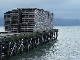 海濱,碼頭,木材