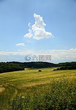 字段,云,景觀