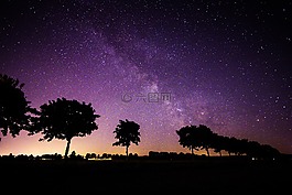 明星,银河系,树木