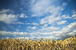 天空,藍天白雲(yún),開闊
