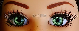 眼睛,關(guān)閉,美麗