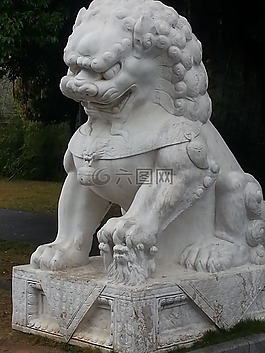 獅子,石,雕像