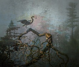 藍鷺,鳥,野生動物