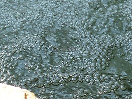空氣泡沫,打擊,水