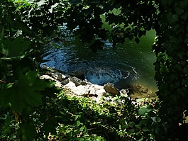 水,源,泡沫