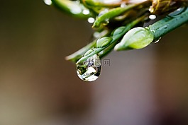一滴水,滴,水