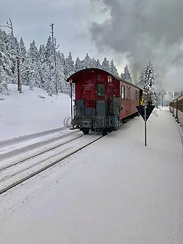 雪,冬天,冷