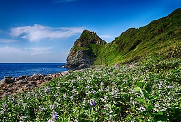 海岸,巖,糸島