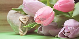 郁金香,鮮花,心臟