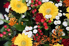 花束,慶祝活動(dòng),鮮花