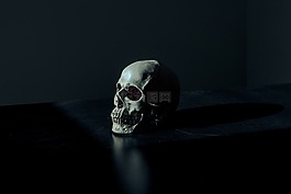 爬行,黑暗,怪異