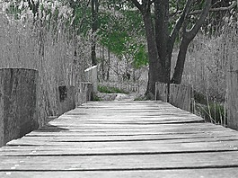 網(wǎng)站,木,橋