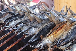 魚,特勞特,ger?uschert
